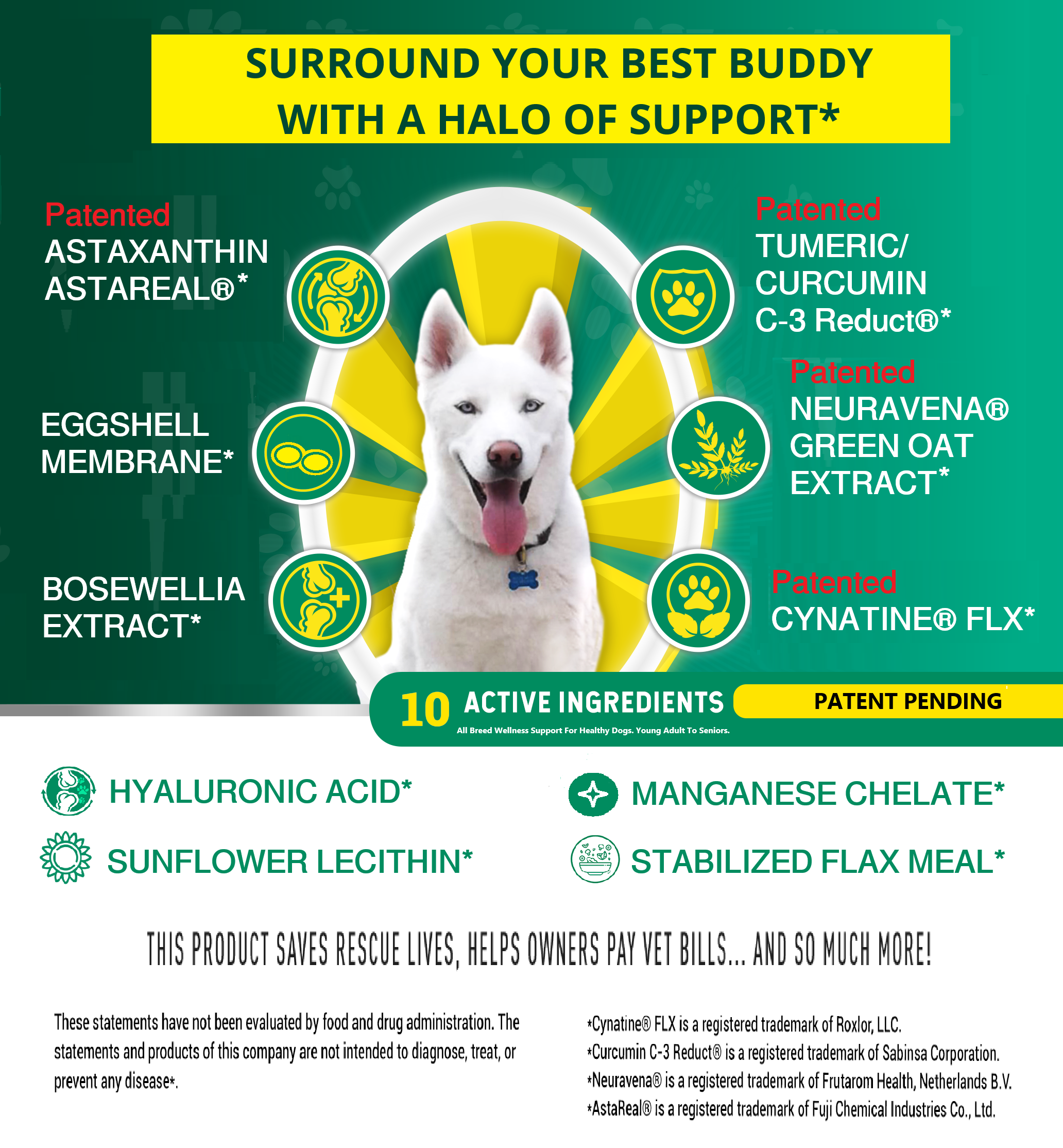 PetJuvenate® - Premium Soft Chews - Mobility and Support.