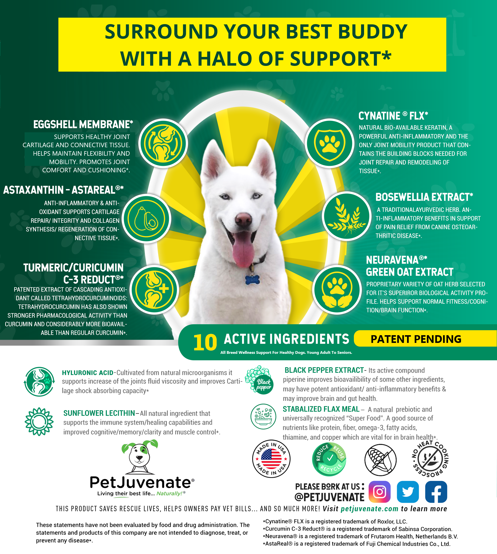 PetJuvenate® - Premium Soft Chews - Mobility and So Much More