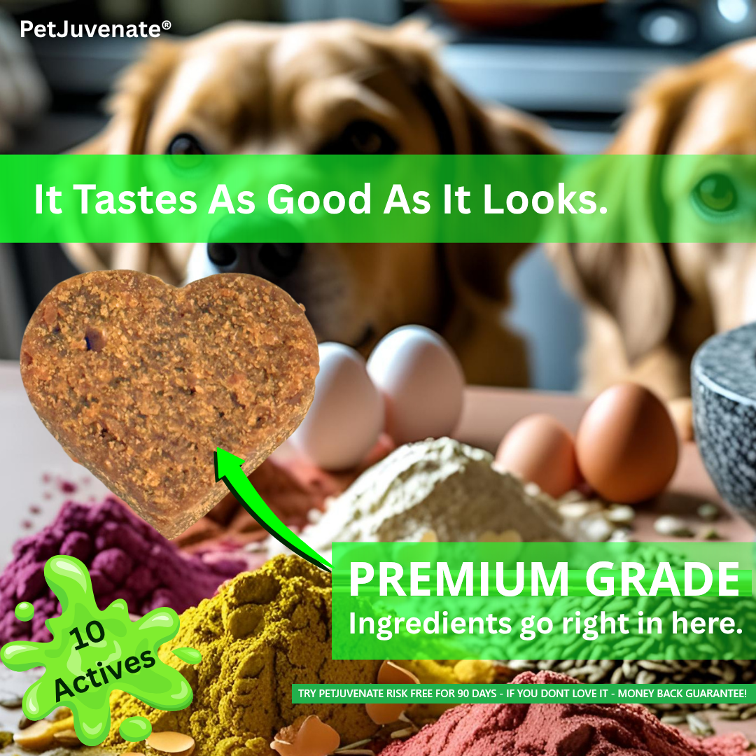 PetJuvenate® - Premium Soft Chews - Mobility and So Much More