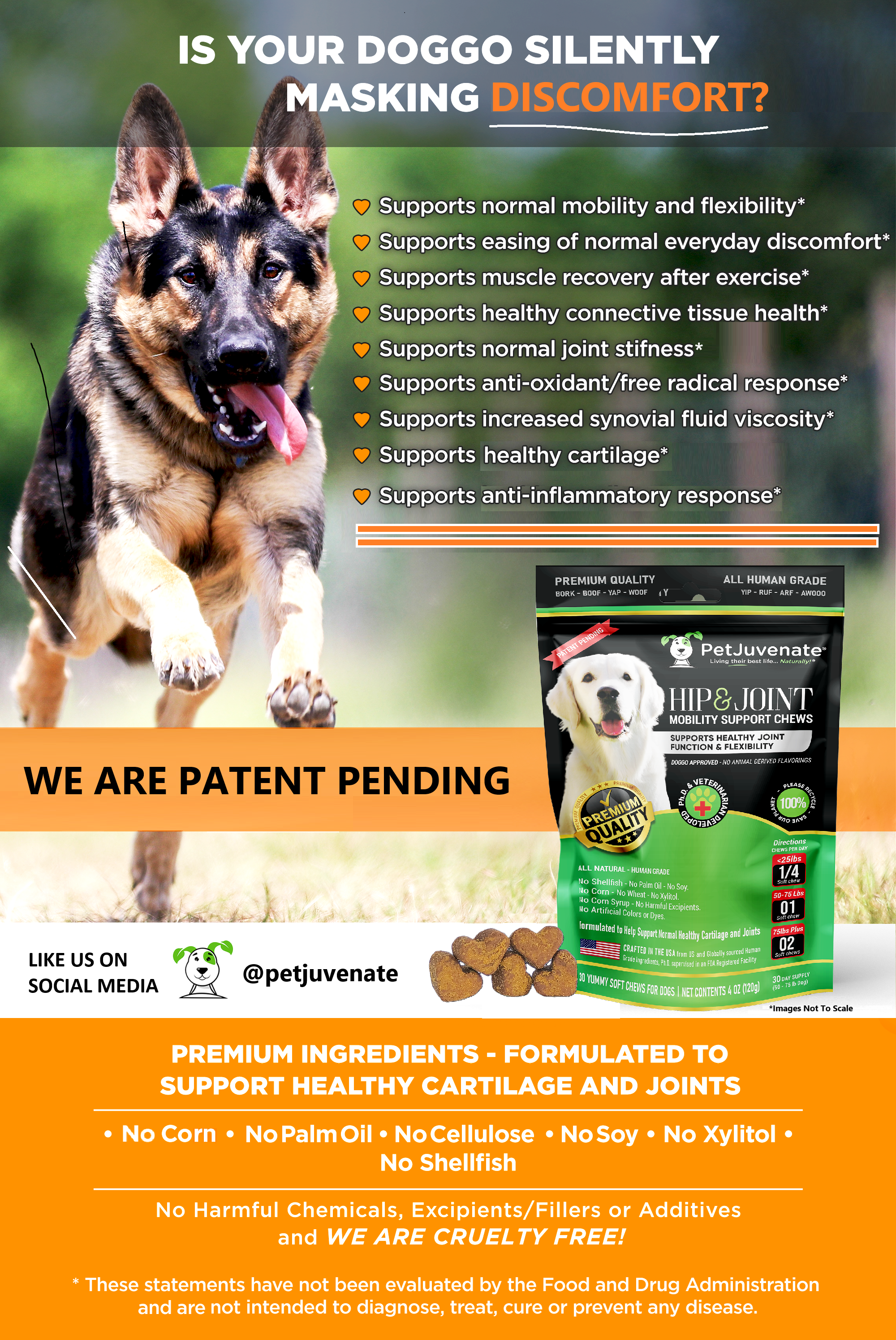 PetJuvenate® - Premium Soft Chews - Mobility and So Much More