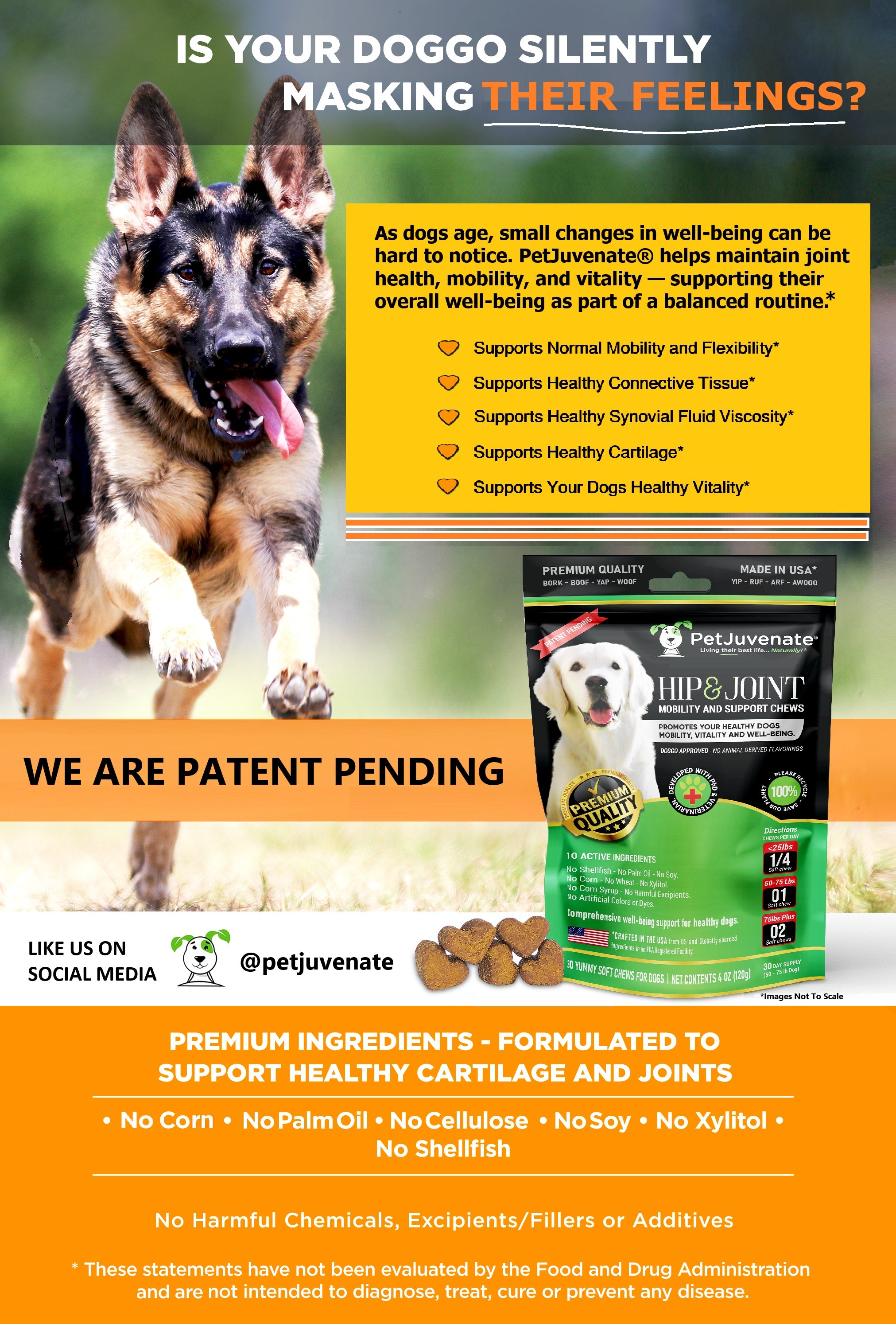 PetJuvenate® - Premium Soft Chews - Mobility and Support.