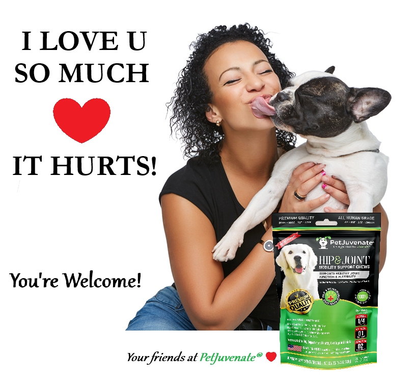 PetJuvenate® - Premium Soft Chews - Mobility and So Much More