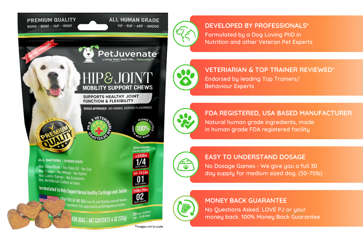 PetJuvenate® - Soft Chews - Mobility and So Much More
